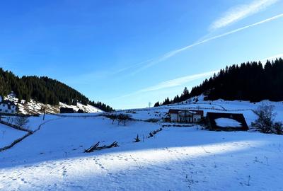 Teren intravilan 4000 mp, Fundata, zona Bran -  Moieciu - 7