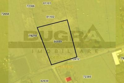 Teren intravilan, 3800 mp,  parcelabil, comuna Chinteni - 2