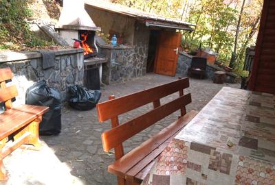 Vila Comarnic - Prahova - 13