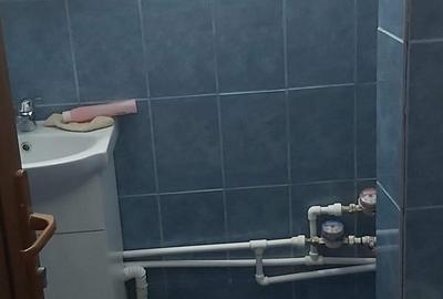 Apartament cu 1 cameră, etajul 3/9, zona Podu Ros - 5