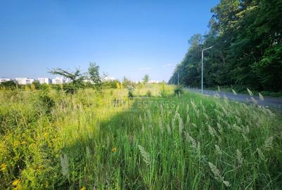 Oportunitate achiziție 2000 mp de teren intravilan - Greenfield - 3