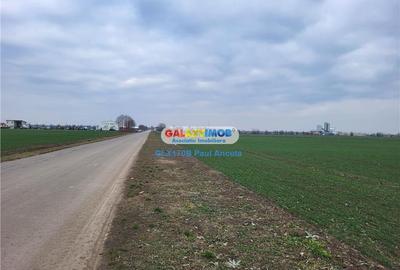 Teren Moara Vlasiei 40000 mp str Drumul Teilor Industrial utilitati - 1