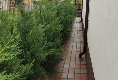 CASA    SUPERBA - AMARA - 4