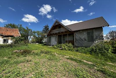 Casa 4 camere 90 M² cu 2.770 M² teren+posibilitate încă 1.200 M² teren - 4