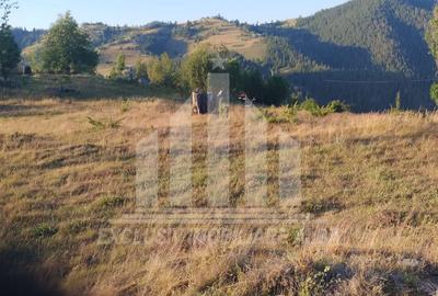 Teren intravilan | 3565 mp | Ideal constructie cabane | Garda de Sus - 3