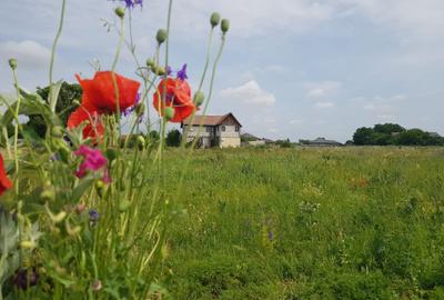 Loturi de teren parcelat, Sabareni, intravilan, 620-650 mp - 1