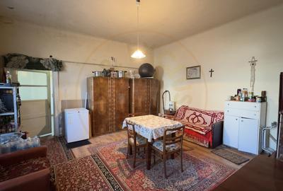 Casa 4 camere cu Teren 2.974 mp | Rezidenta sau afacere | Carei - 19