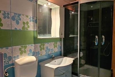 Apartament in bloc reabilitat, 2 camere, et 4, Zona 300, Micalaca,Arad - 7