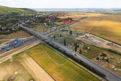 Spațiu industrial cu potential de vanzare in Paulis,Arad - 23