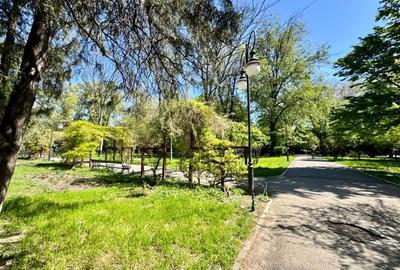 Studio premium | vedere directă către Parcul Cișmigiu  | Complet renovat - 18