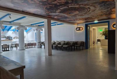 IMOBIL PREMIUM  2.100 MP   LANGA UNIVERSITATE  SI MAMAIA  – MULTIPLE UTILIZARI ! - 8