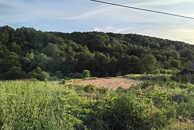 Teren de vânzare – 2.342 mp – Strâmba-Vulcan, Ciuperceni, Gorj - 2