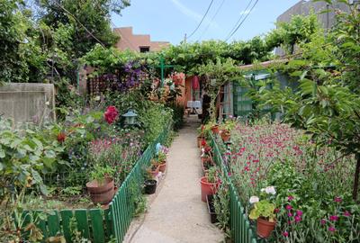 Casă individuală cu 3 camere în Coiciu