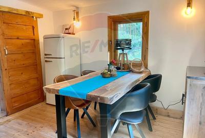 Casă de vacanță deosebită cu ciubăr si saună - natura si relaxare - 17