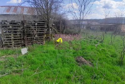 DE VANZARE TEREN 3400 MP IN SAT PODU ILFOVAT / COM BUTURUGENI (GR) - 29