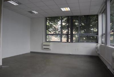Spatiu pentru birouri, Complex Favorit - 2
