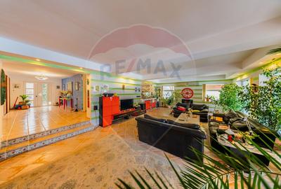 Vilă cu 4 camere de vânzare 921 mp zona Subcetate,Arad - 20