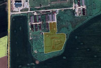 Teren Construcții intravilan de 32318 mp, în Orțișoara