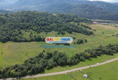 Vindem teren 20000 mp Cheile Rasnoavei - Brasov , pentru case vacanta - 3