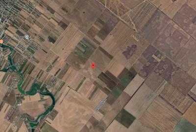 Teren Extravilan In Rate Primaverii Com. Berceni | 12.576mp | #EG41 - 3