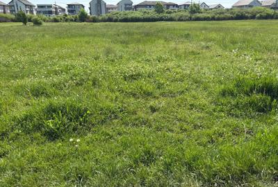 Teren 1239 mp front 29 in Aradul nou - 5