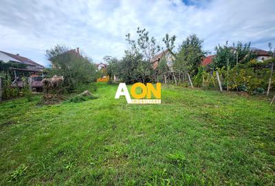 De vanzare casa 3 camere, 719mp teren, Cetate - 17