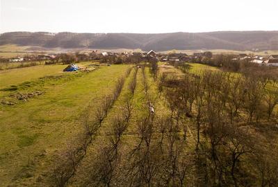 RECO Teren intravilan de vanzare in Betfia – locatie linistita, ideal pentru con - 4