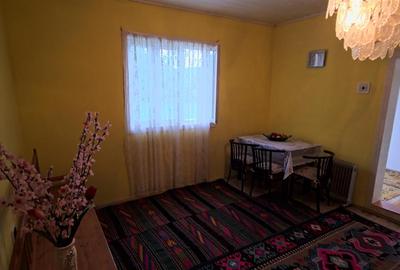 Casa cu teren 42 ari Deschidere la DJ 208A – Suceava - Bosanci - Liteni - Dolhas - 16