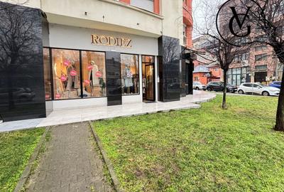 Spatiu comercial modern - Bd. Ion Mihalache - 4