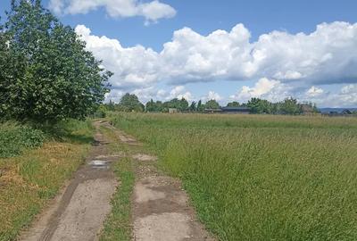 De vânzare teren extravilan la Sfântu Gheorghe - 6
