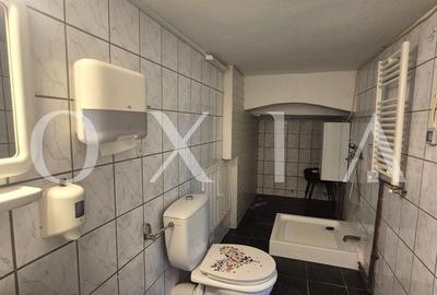 AX1193 Central, Spatiu Pentru Birouri - 9