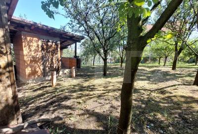 Casa individuala, 240 mp cu teren 1200mp, Dezmir, zona Planoare! - 14