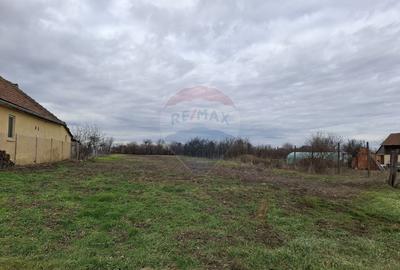 Teren intravilan 1,241mp Frumușeni, Arad - 4