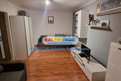 Apartament 2 Camere Pet&Foreigners Friendly Dristor DI 763 - 6