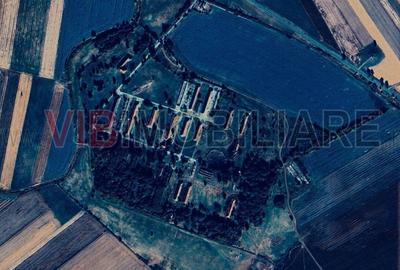 Ferma complet utilată – 30 ha teren comasat cu 11.500mp grajduri renovate Timiș - 1