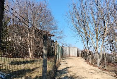 1400 mp. Deschidere 38 m Teren Intravilan CETATE Valea Popii utilitatile langa - 5