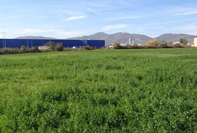 Vand teren intravilan in Deva suprafata totala 43 000 mp, zona Auchan - 4