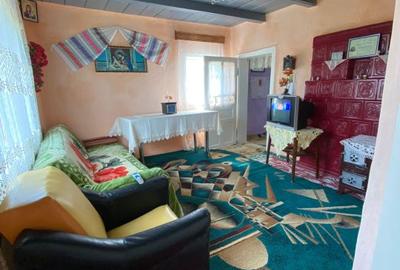 Casa noua + casa renovata in Cucorani - 10