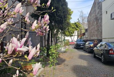 Spatiu pentru afacerea ta situat la parterul unei vile- Caderea Bastiliei - 18