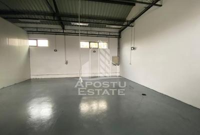 Hala de inchiriat Timisoara - Dambovita, depozitare, service auto - 3