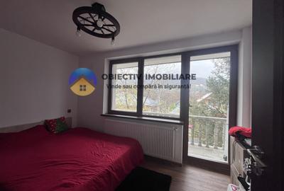 Casa Loc. Viisoara- Com. Alexandru cel Bun - 17