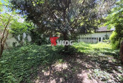 Casa individuala cu anexa /teren 346/Zona Blașcovici/Bogdăneștilor - 20