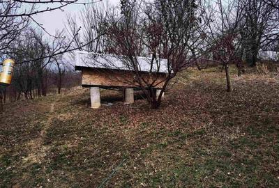 Super proprietate langa Breaza  cu teren  5000Mp , structura solida , cazemata - 7