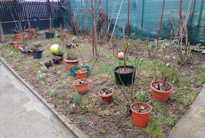 Casă  in  Vatra Nouă , Nordul Bucureștiului - 1