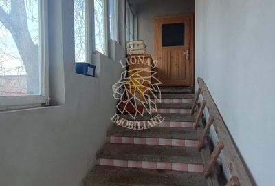 Apartament 5 camere cu teren 266 mp, nivel parter - zona Eroilor - 8