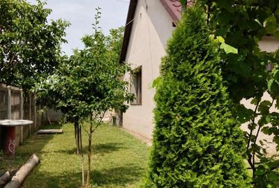 Proprietate cu afacere agricola la cheie - 15