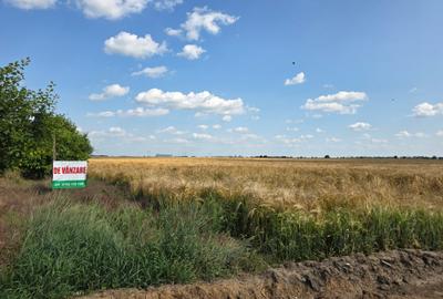 Teren de vanzare Popesti Leordeni,str Scolii - 1