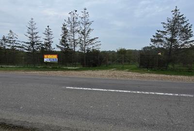 LIVADA  DE VANZARE FOCSANI-DUMBRAVITA  1,8  HA - 31
