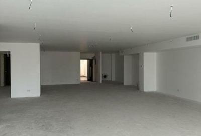 Spațiu comercial, 230 mp în Barbu Văcărescu