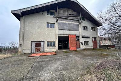Hala, spatiu comercial, vad, de la 423mp la 1744mp, Vama Albita - 22